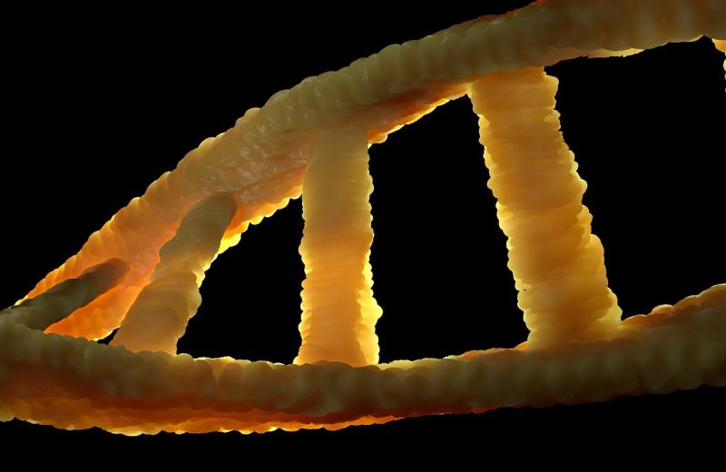 DNA