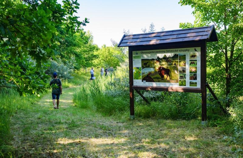 ČSO otevřela na Mostecku největší ptačí park. Střimickou výsypku plánuje změnit na pestrou krajinu