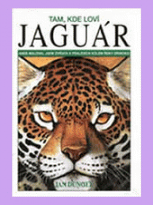Tam, kde loví jaguár, aneb, Maloval jsem zvířata v pralesích kolem řeky Orinoko 