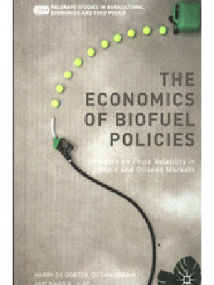 The economics of biofuel policies