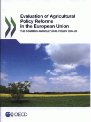 Evaluation of agricultural policy reforms in the European Union 