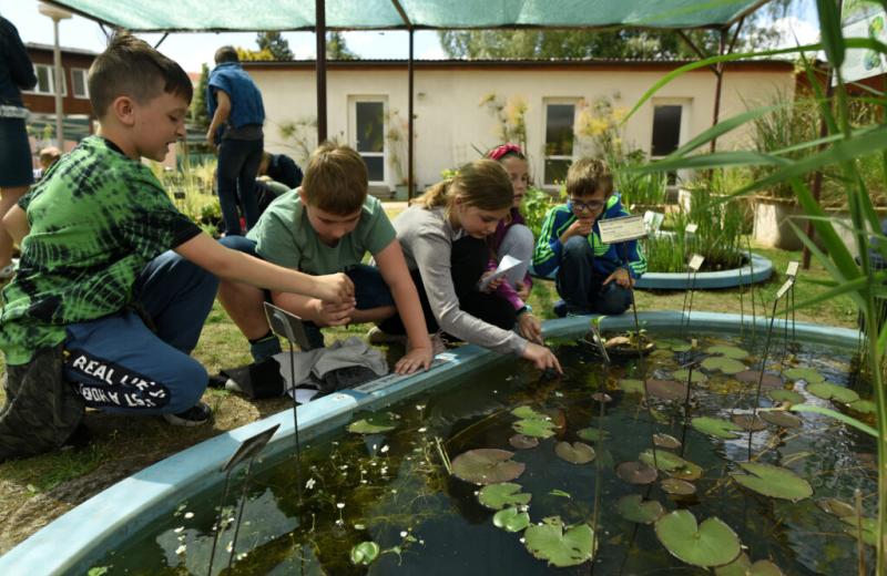 botanická zahrada v Třeboni