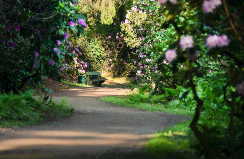 Průhonický park