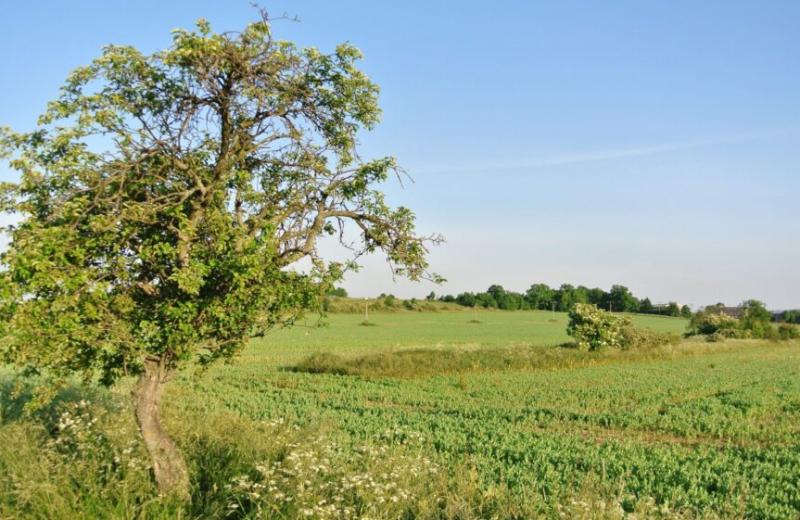 Nový film České společnosti ornitologické představuje zemědělce, kteří ozdravují krajinu
