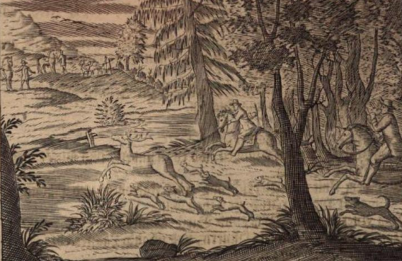 Georgica curiosa