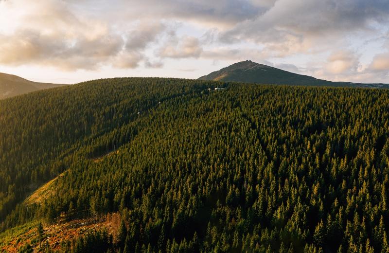 krkonoše