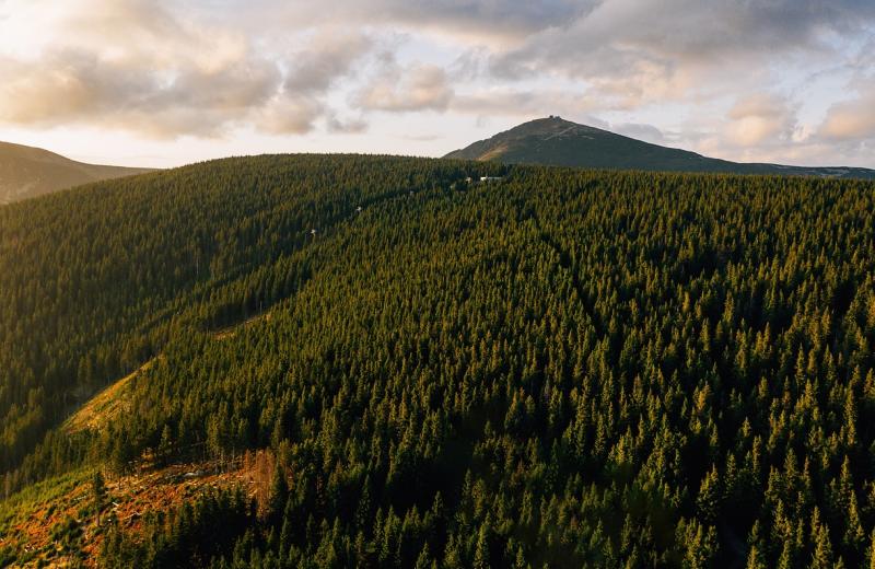 Krkonoše
