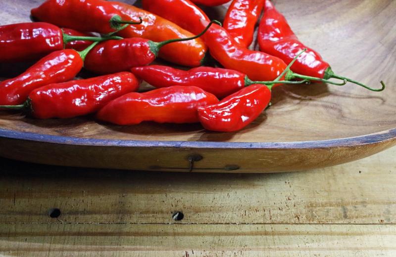 Podzimní výstava chilli papriček 2026