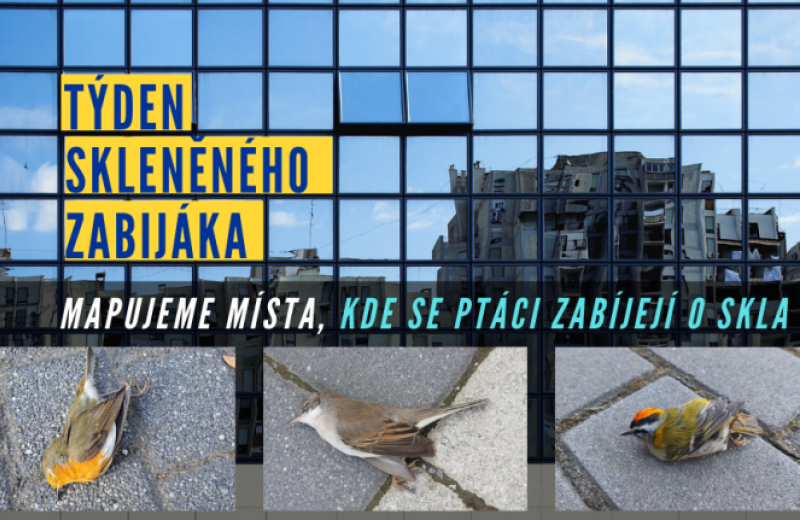 Týden skleněného zabijáka